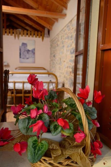 A Small Paradise In Mani With Local Hospitality Apartment