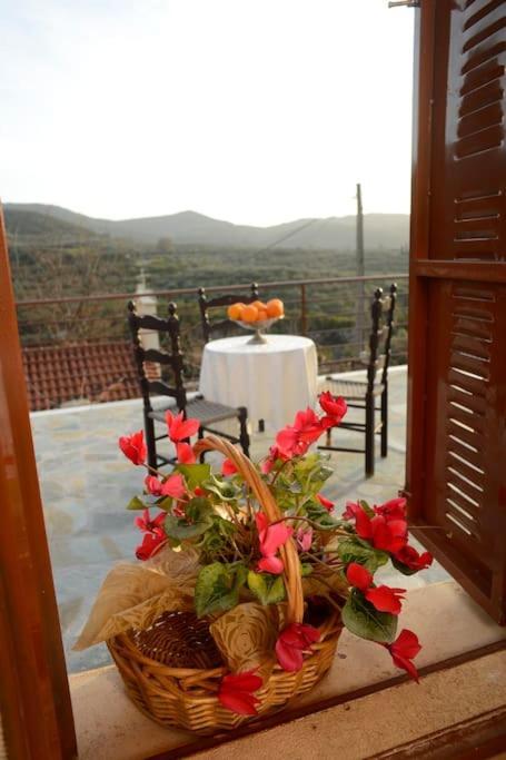 Apartment A Small Paradise In Mani With Local Hospitality