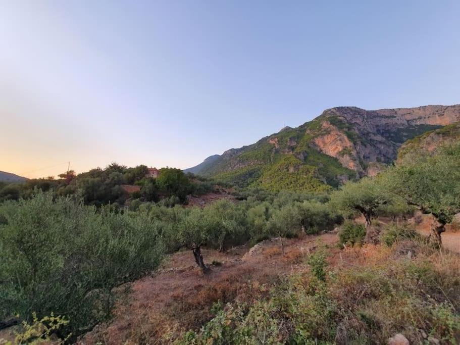 Apartment A Small Paradise In Mani With Local Hospitality Orovas