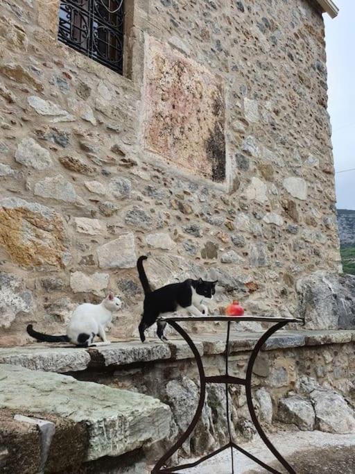 A Small Paradise In Mani With Local Hospitality Orovas